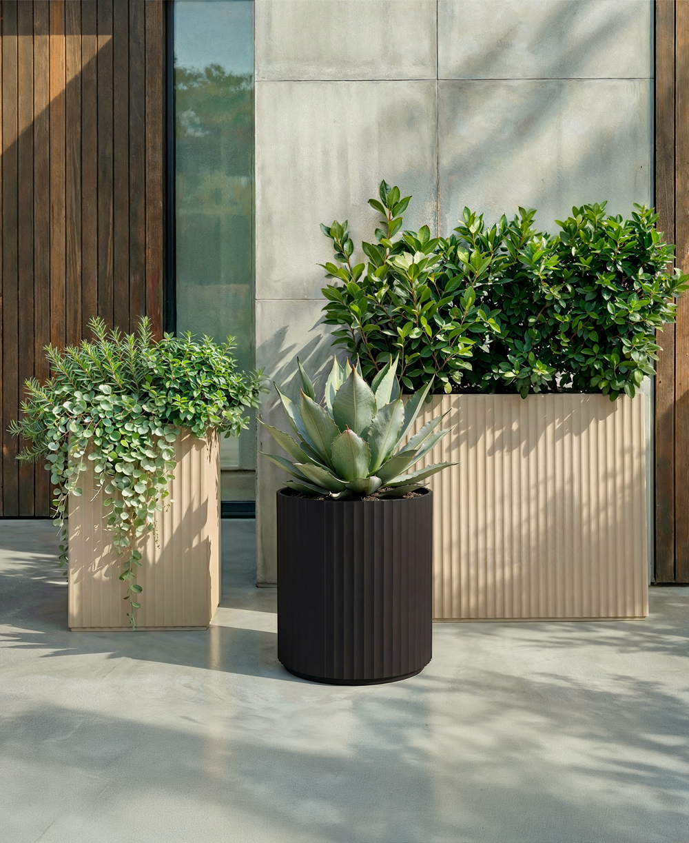 Large Pots: How to Transform Indoor and Outdoor Spaces