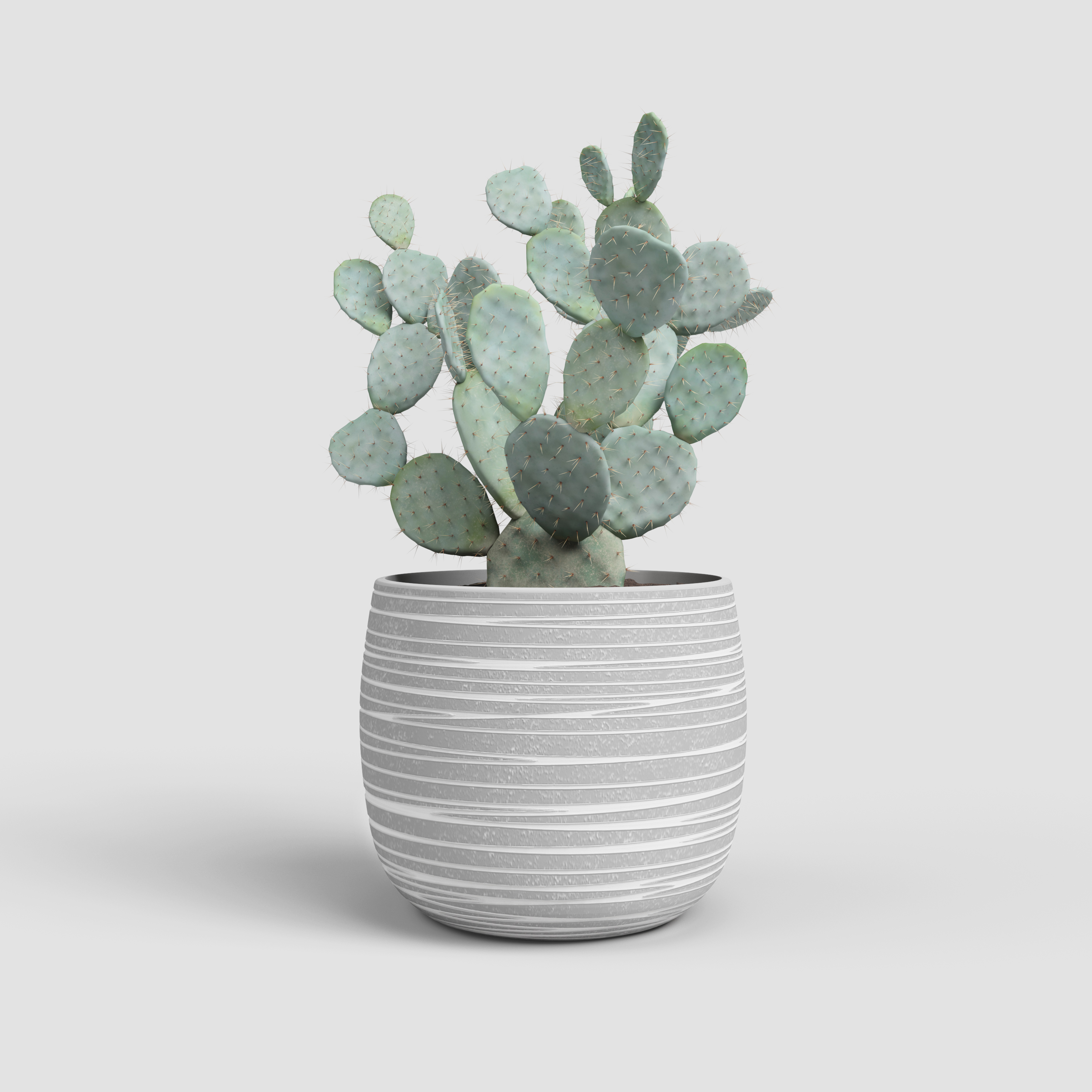 Doris Pot