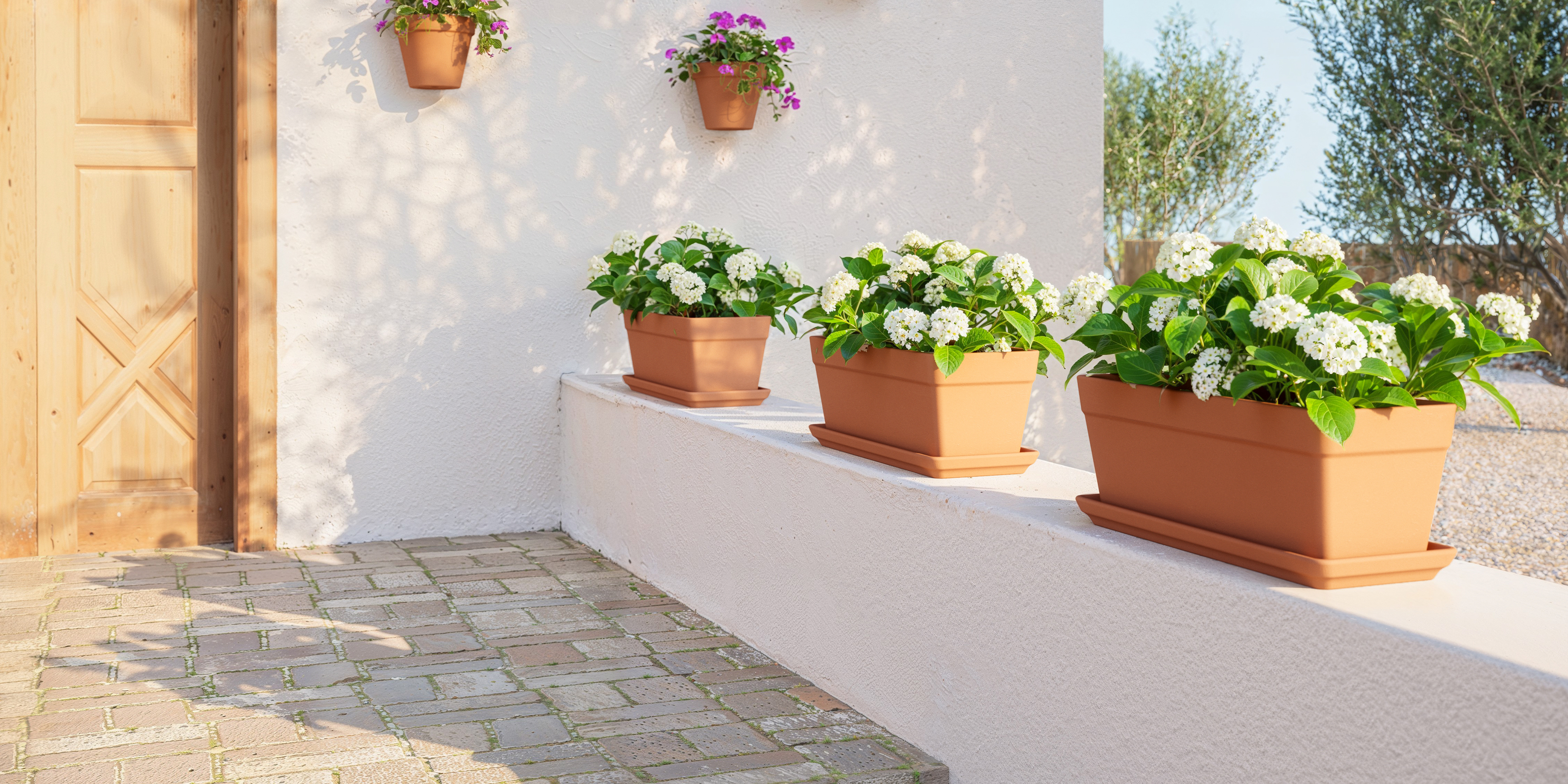 Summer plant boxes
