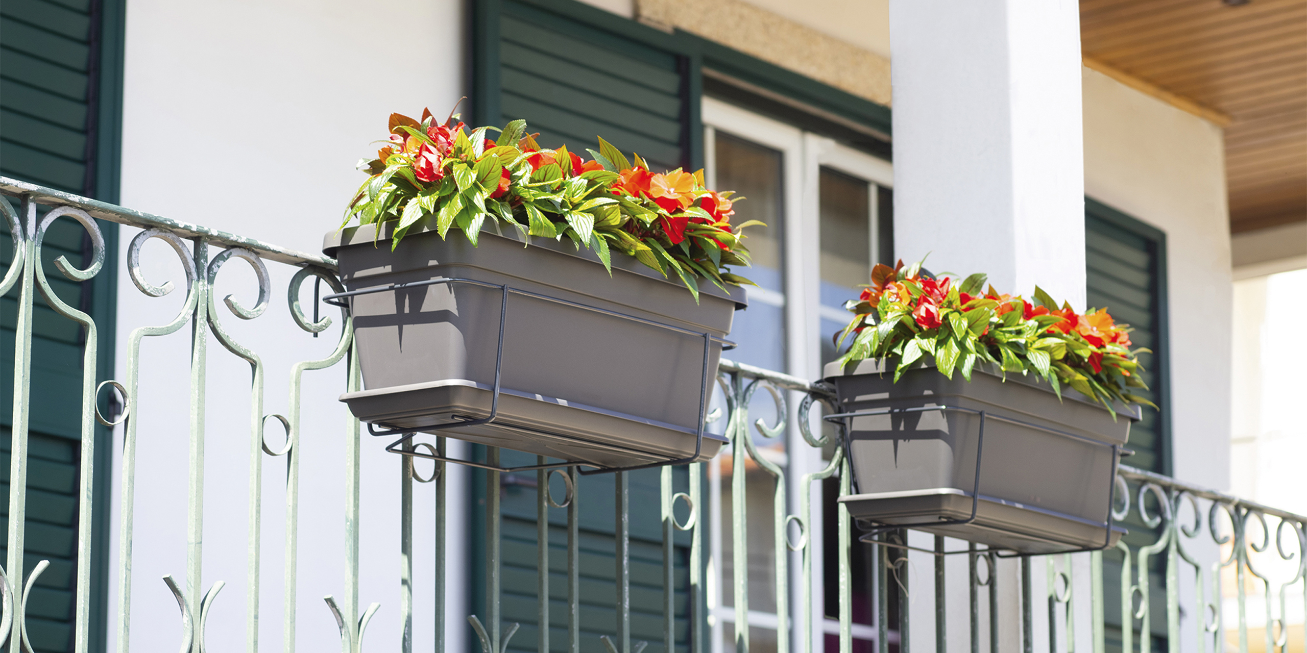Balconies in full bloom