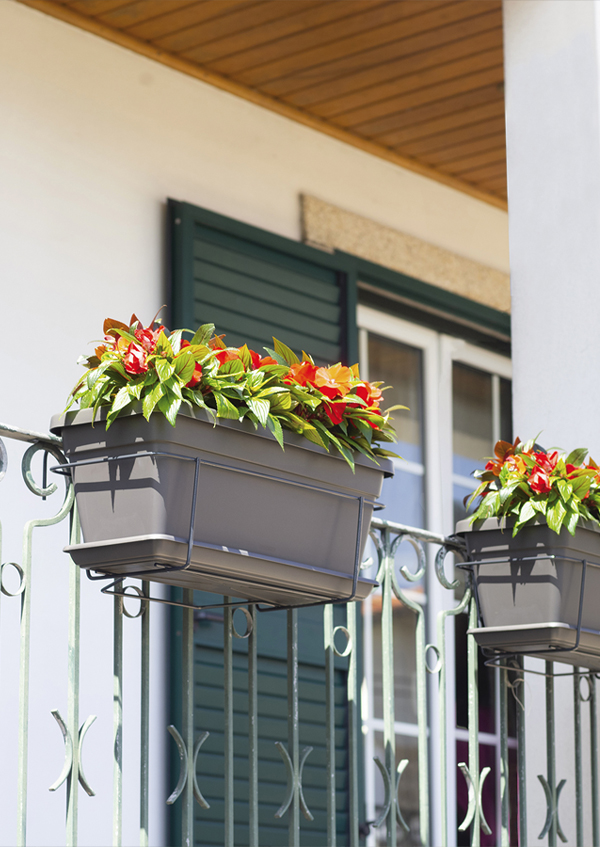 Balconies in full bloom